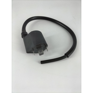 Bobina Hyosung Aquila GV 250 Fi 2015 - Imagen 2