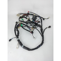 Instalación eléctrica Kymco K-Xct 125 / 300 (Ocasión) - Imagen 1