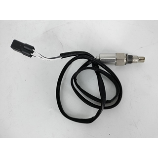 Sonda Lambda SWM RS 300 R - Imagen 1